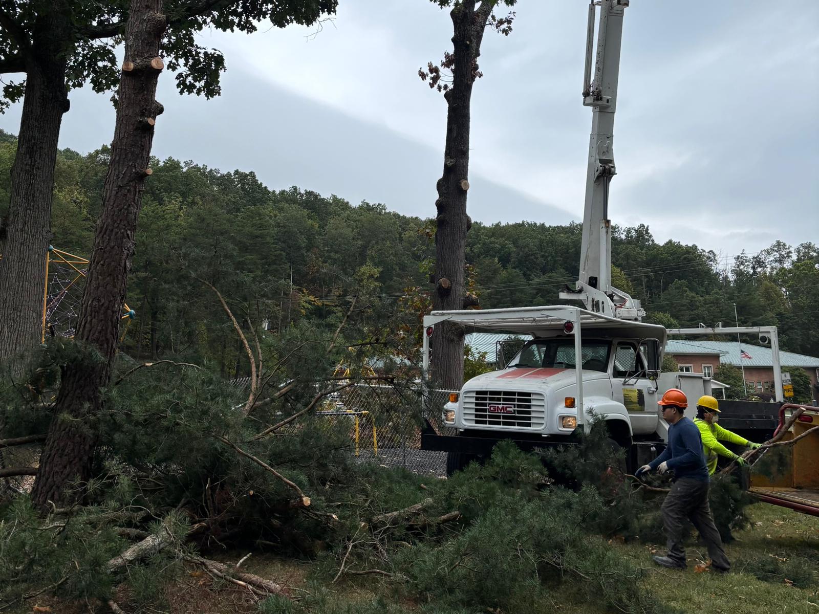 L.C Tree Services LLC Image